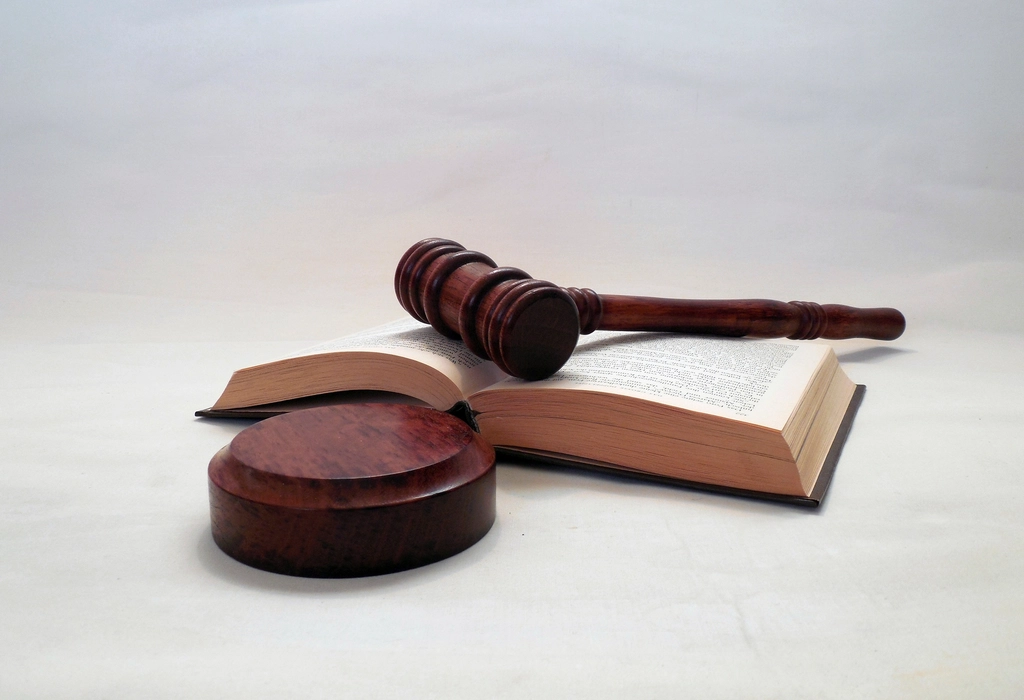 Law student preparing a personal statement application